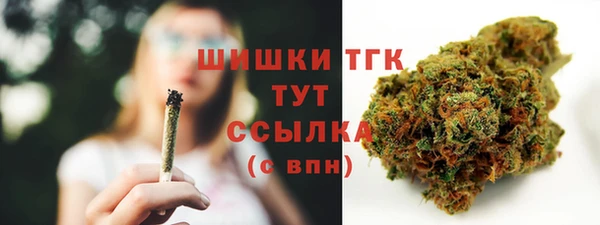 стаф Аркадак