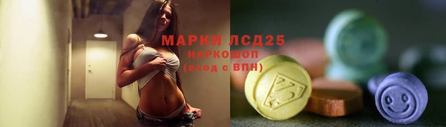 стаф Аркадак