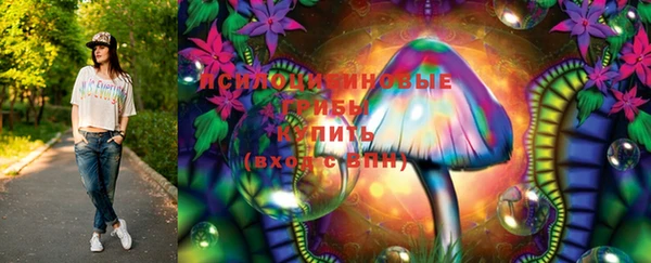 хмурый Армянск