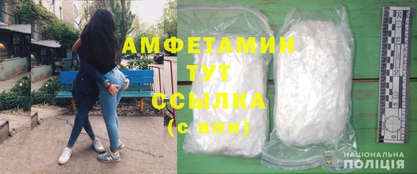 стаф Аркадак