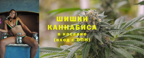 трава Арсеньев