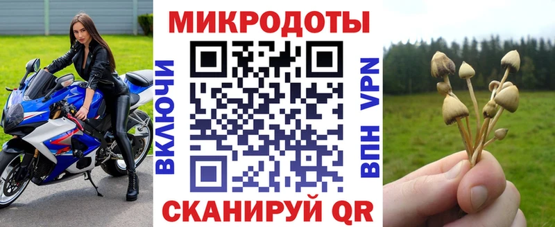 Псилоцибиновые грибы MAGIC MUSHROOMS купить Старица
